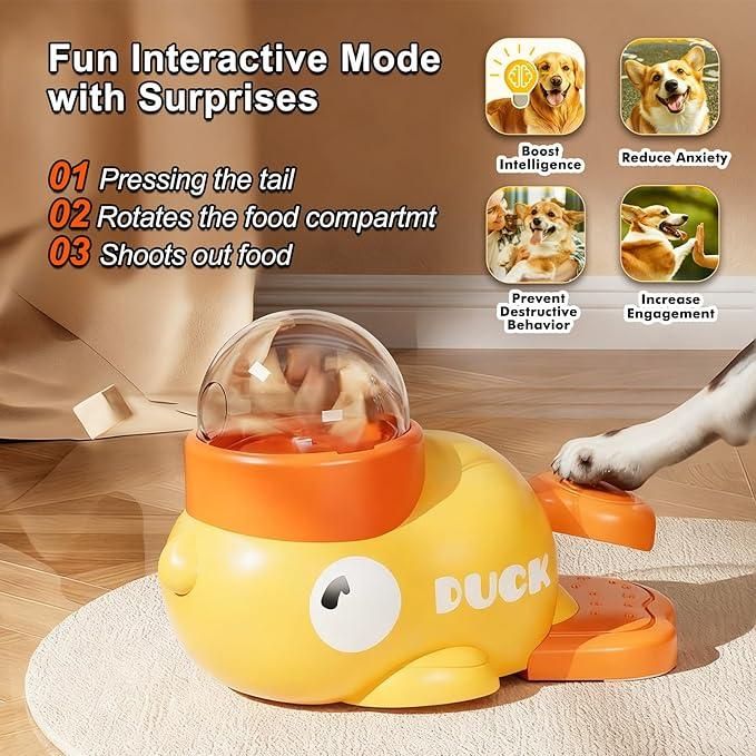 Pet Feeder